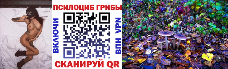 Галлюциногенные грибы Psilocybe  закладка  кракен зеркало  Малая Вишера 